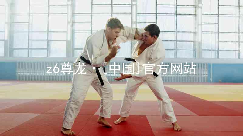 z6尊龙·[中国]官方网站